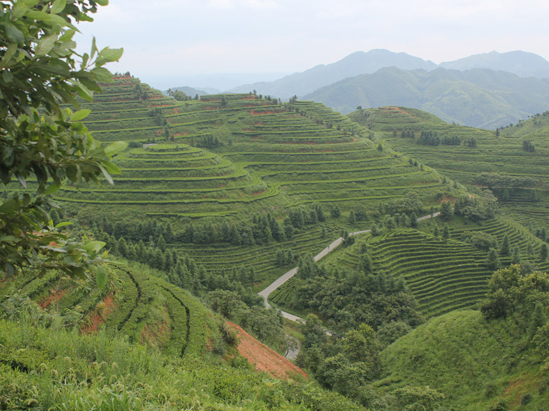 沅陵會同示范基地