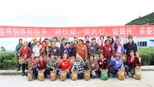 會同寶田侗族苗族鄉在集團瀟湘茶業會同寶田有機茶基地開展采茶培訓