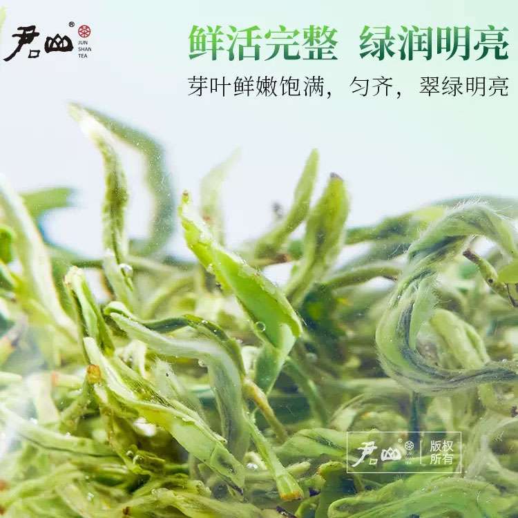 [君山牌] 2023明前新茶湖南特產君山毛尖禮盒裝春茶送禮茶葉綠茶250g盒